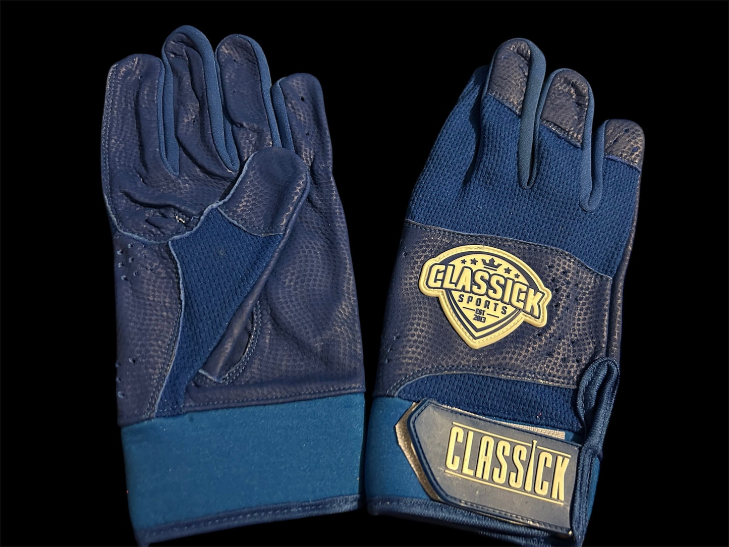 Pro Series Batting Gloves – Royal and white/Royal
