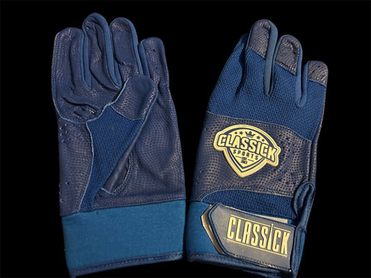 Pro Series Batting Gloves – Royal and white/Royal