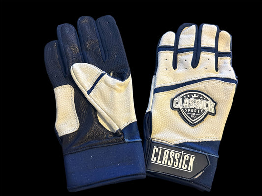 Pro Series Batting Gloves – Blue & White Edition